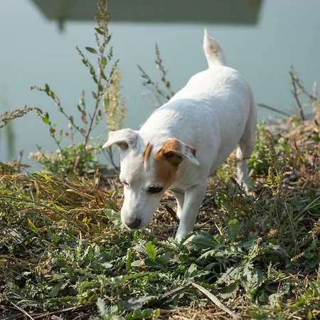 Farm stay Ubytovanie Na Majeri Bellova Ves