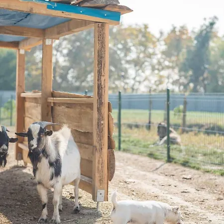Farm stay Ubytovanie Na Majeri Bellova Ves